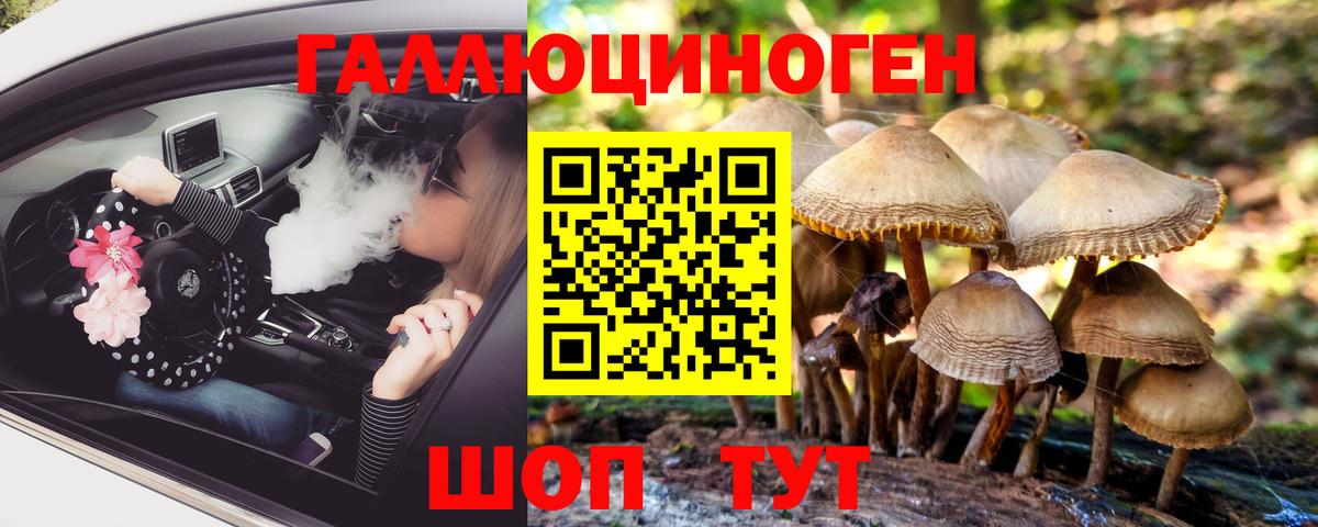 Псилоцибиновые грибы Cubensis Соль-Илецк